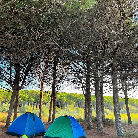 Kamberi & 호텔 Velipojë
