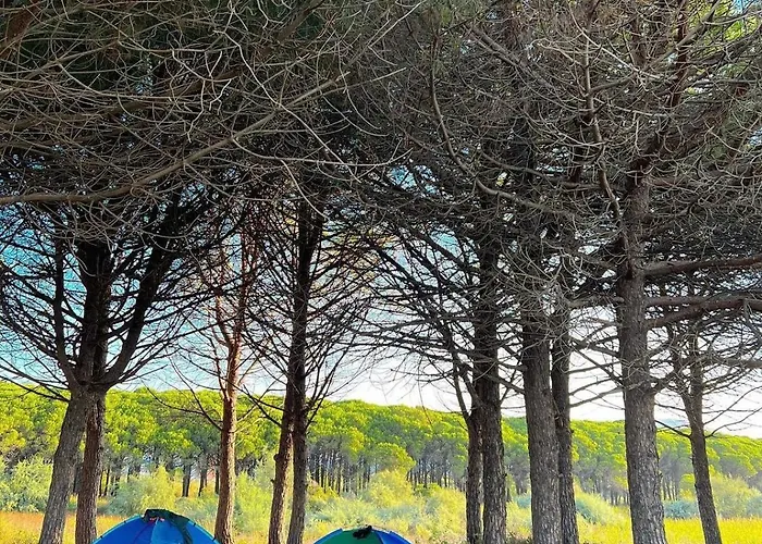 Kamberi & Hotel Velipojë